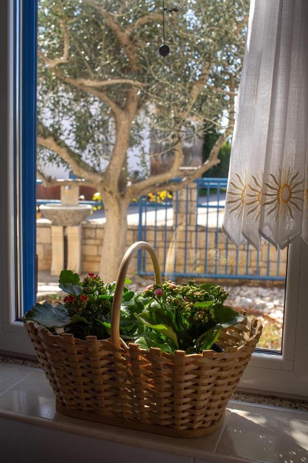 Olive Tree Apartment Umag