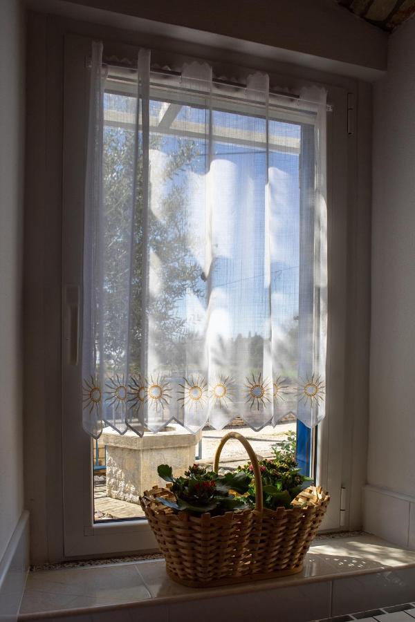 Apartment Olive Tree Umag