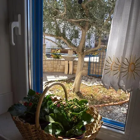 Olive Tree Apartments Umag Exterior photo