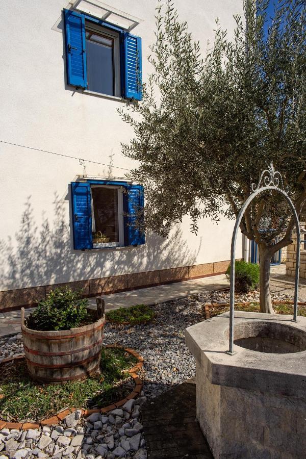 Apartment Olive Tree