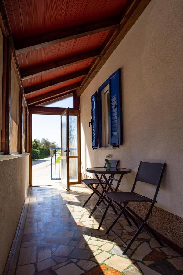 Olive Tree * Umag
