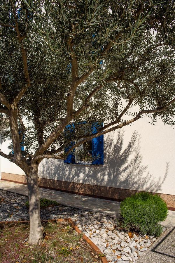 Olive Tree Apartment