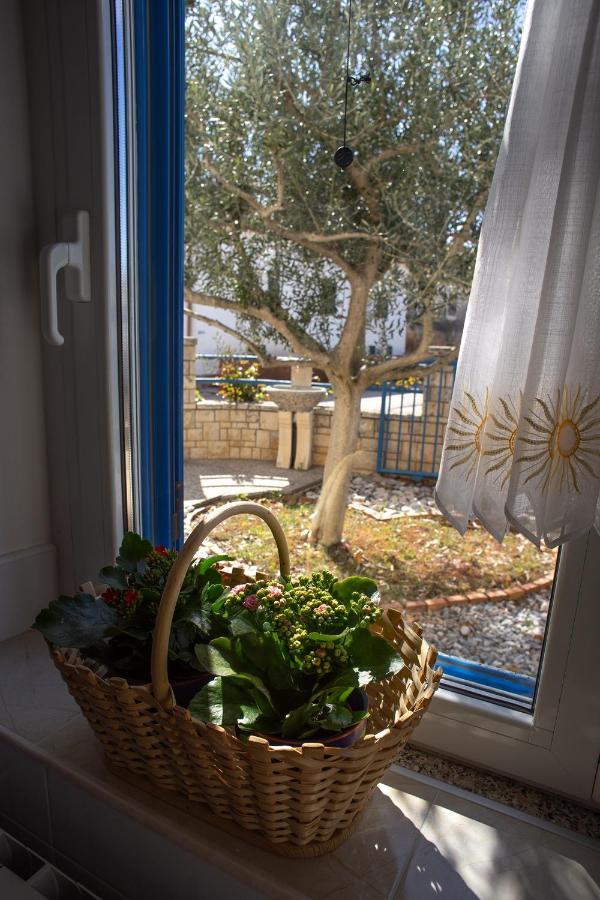 Apartment Olive Tree *