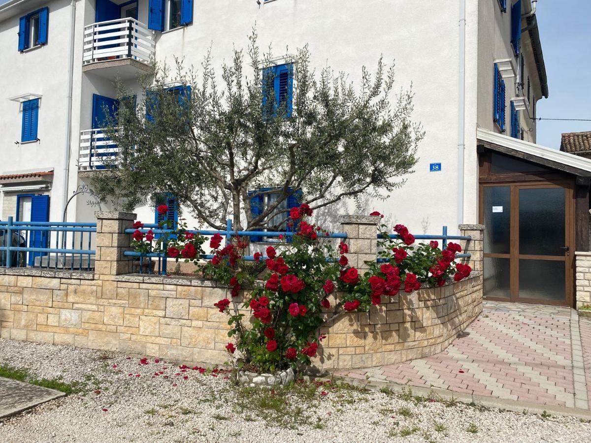Apartment Olive Tree *