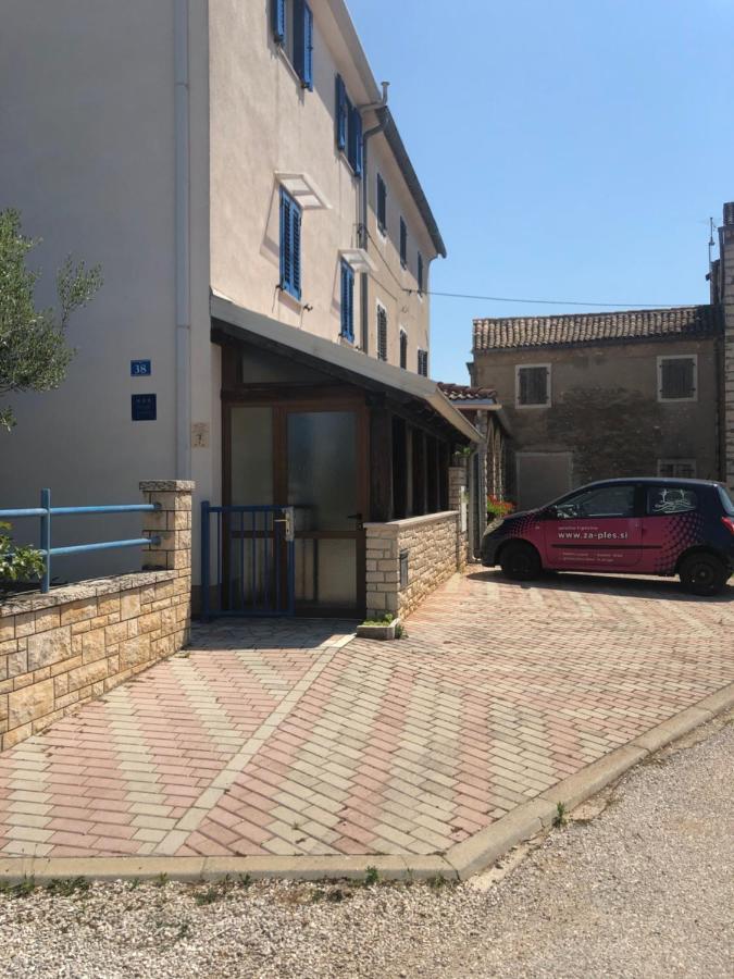 Olive Tree * Umag